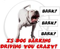 lots of barking